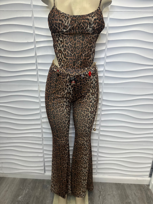 Feline Set